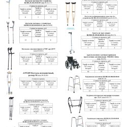 Оптика 5, Светлогорск январь 2025 png