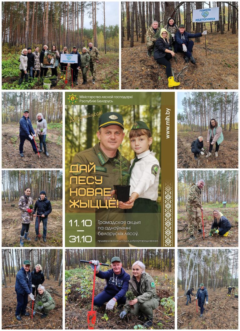 Республиканская добровольная общественная акция «Дай лесу новае жыццё!»