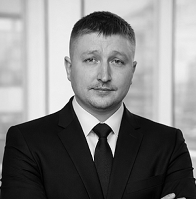 Демиденко Сергей Сергеевич